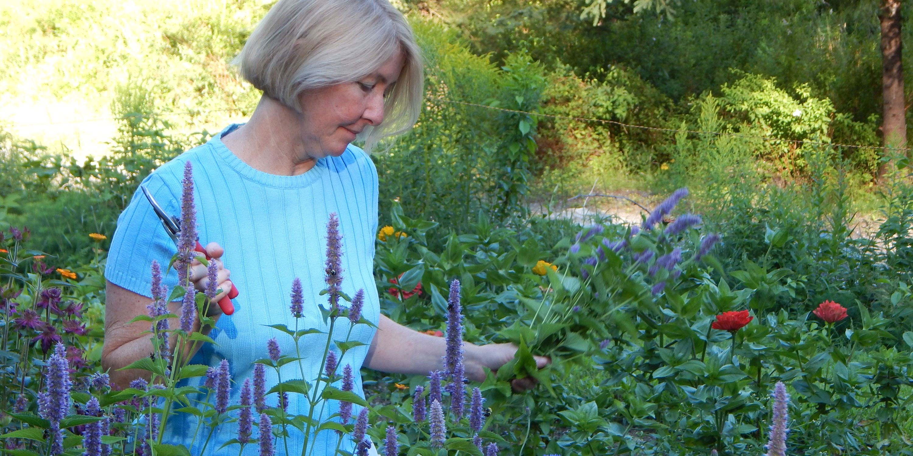 slideshow_2 slideshow_2