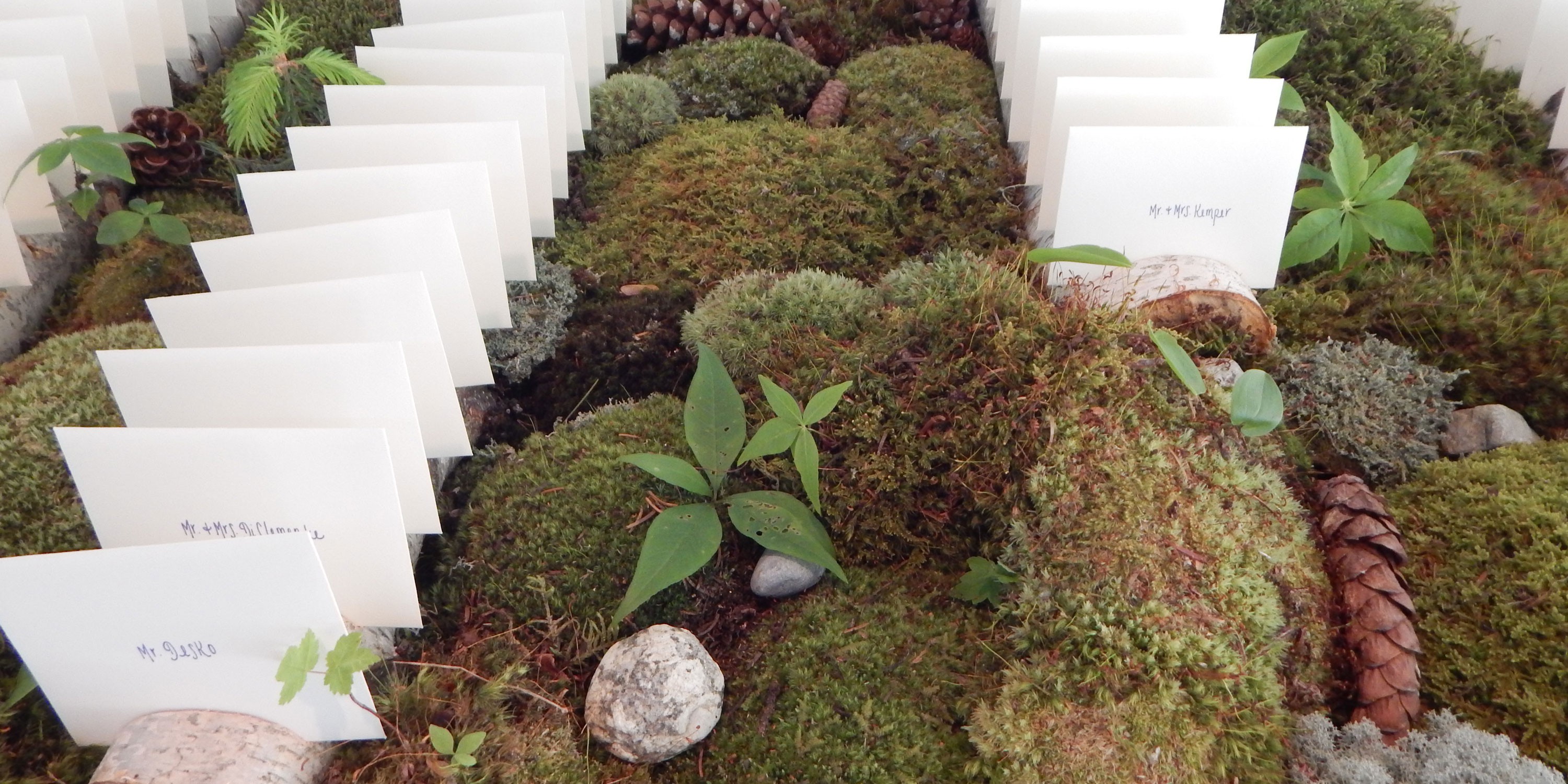 slideshow_5 slideshow_5