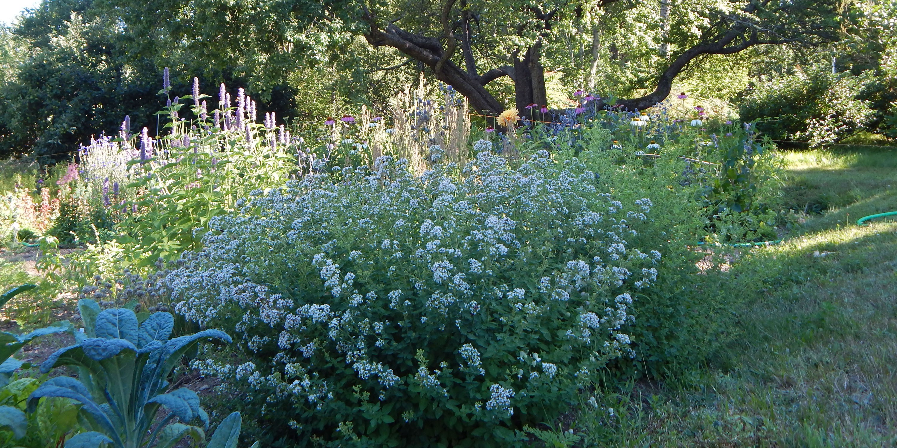 slideshow_6 slideshow_6