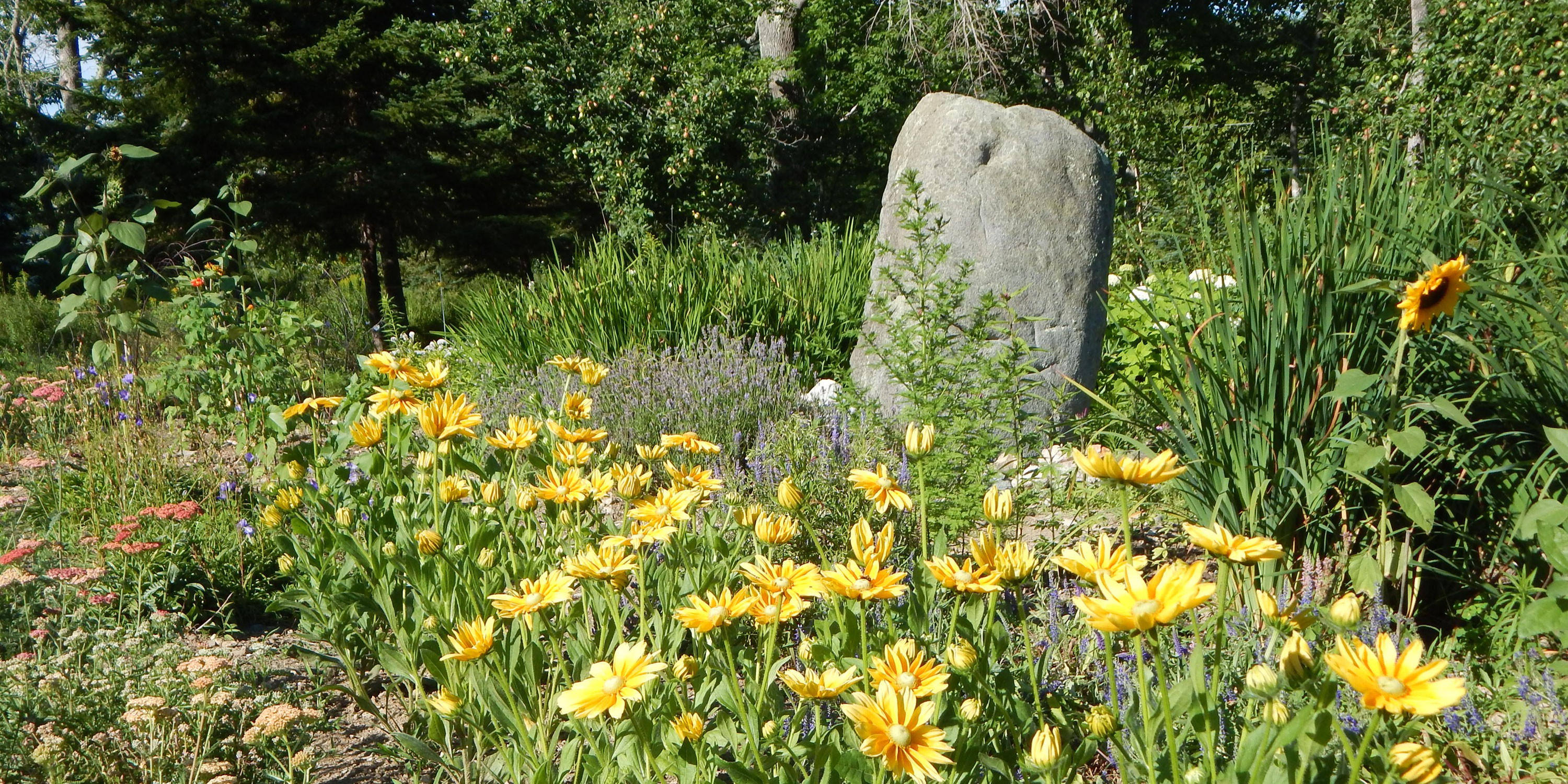 slideshow_7 slideshow_7